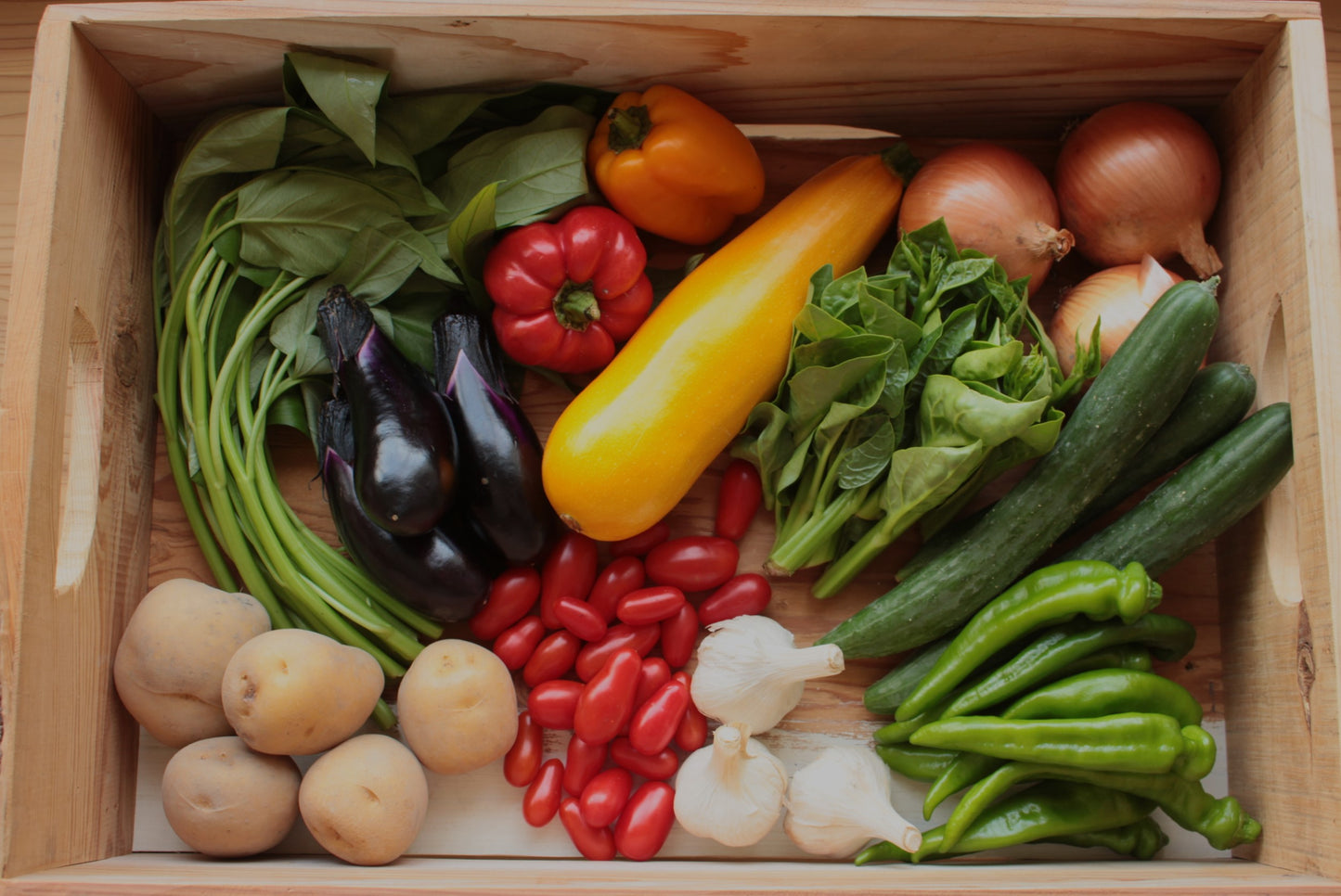 お試しベジフルM 【ローカル配達 1回】