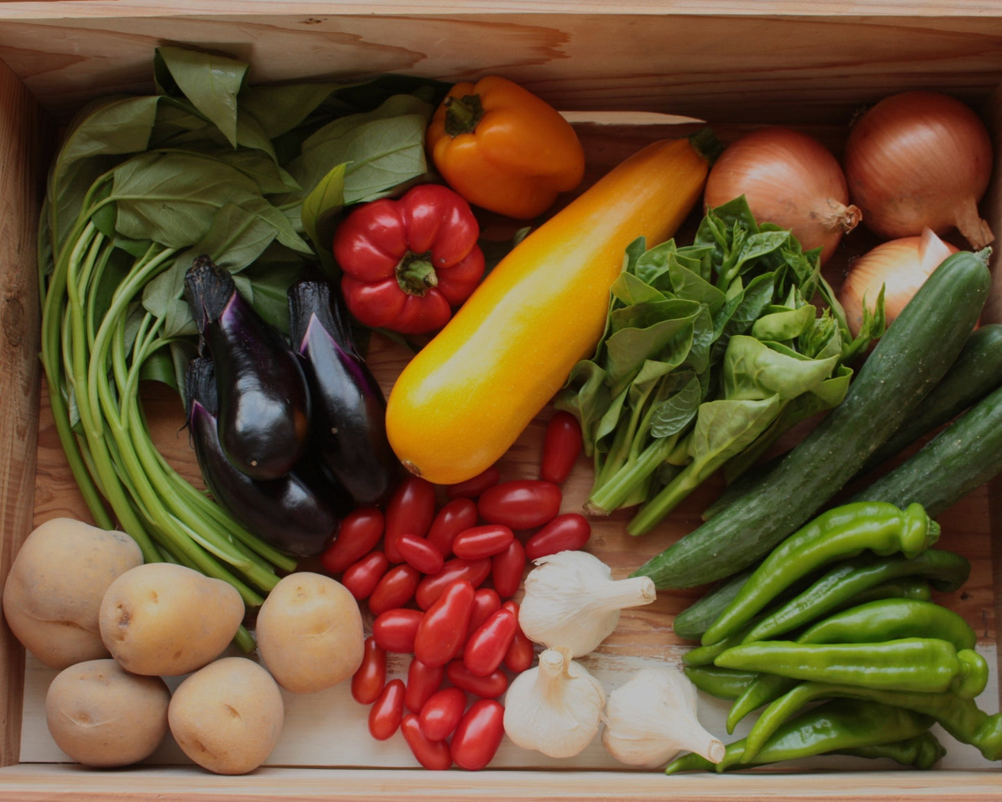 ベジフル京都便 M (定期便)