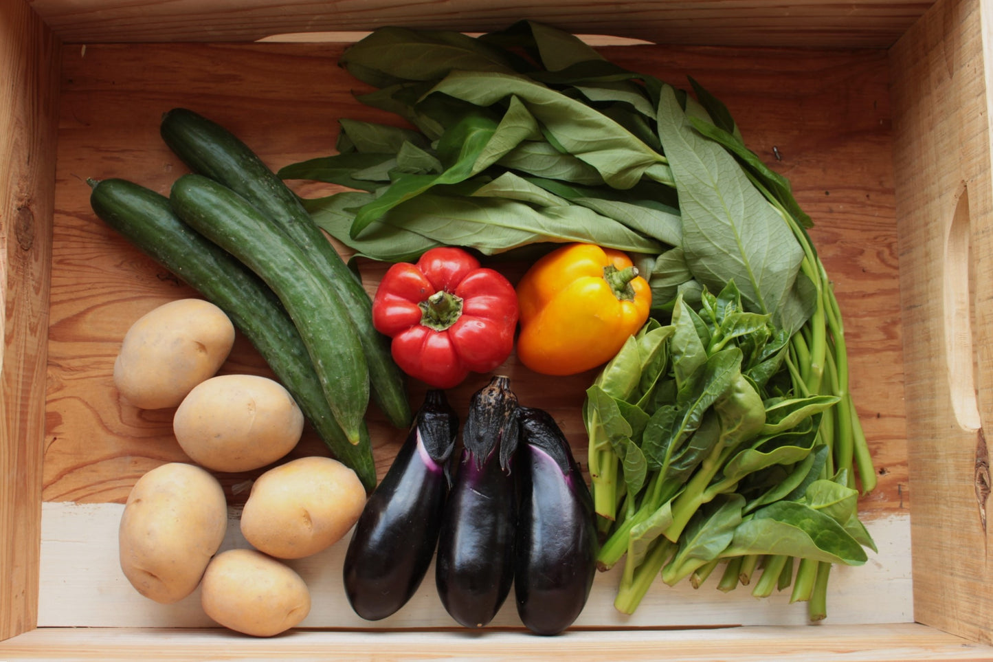 Sunshinejuicelab受け取り野菜セット