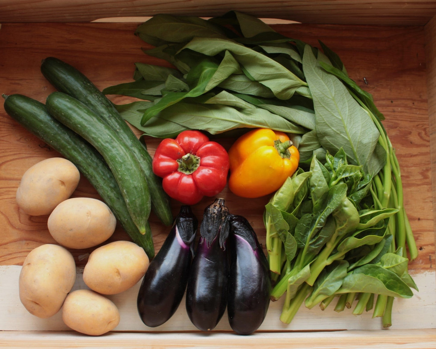 ベジフル京都便 S (定期便)