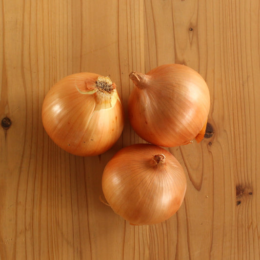 淡路島のタマネギ　1㎏