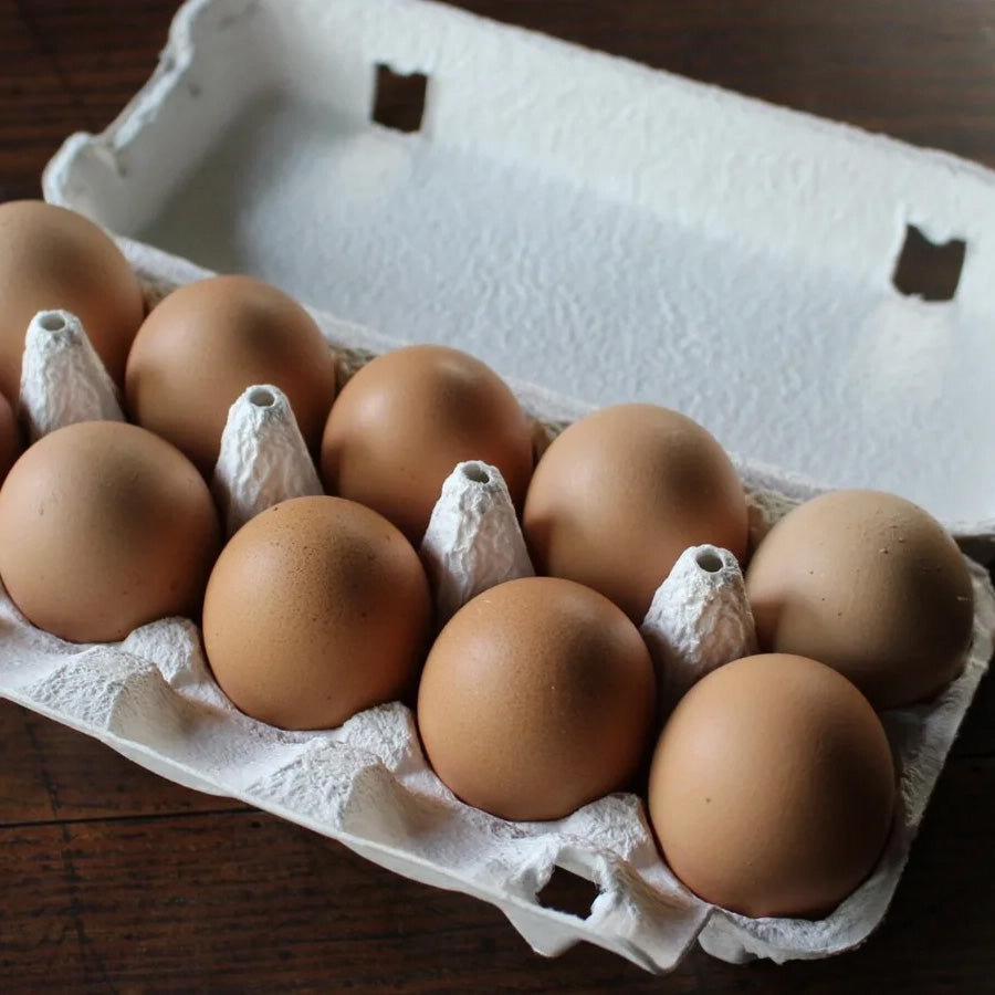 「タンポポ色」の平飼い卵10個