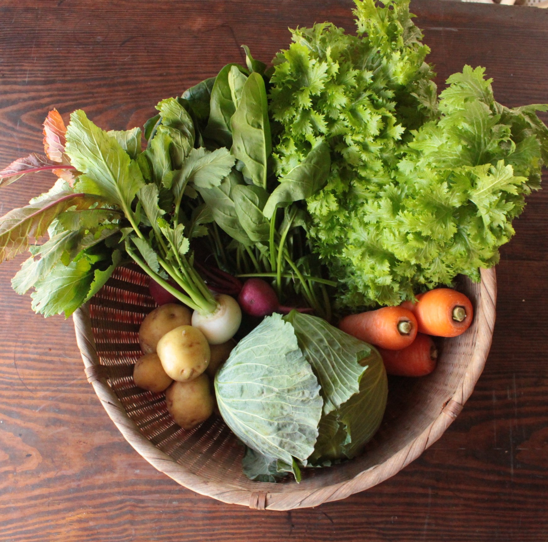 1月の野菜セットの一例：ジャガイモ、人参、コカブ、キャベツ、わさび菜、ほうれん草